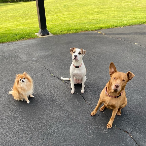 β¨πΈLIVE NOW - SHARE SHOWπΈβ¨ - Picture 6 of 9